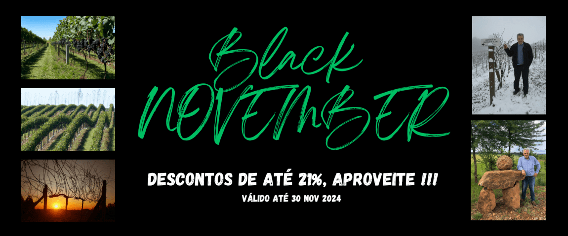 BLACK NOVEMBER