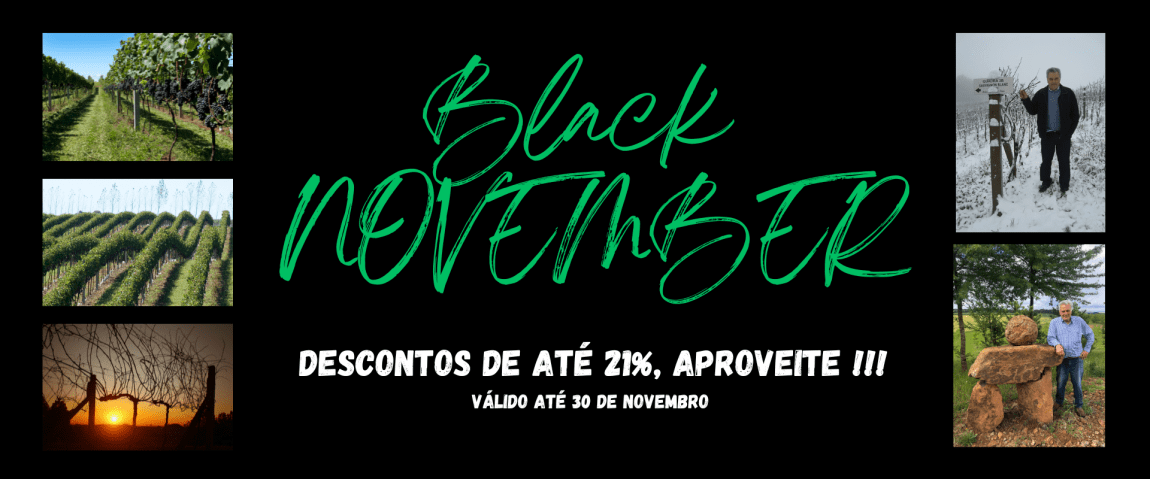 BLACK NOVEMBER