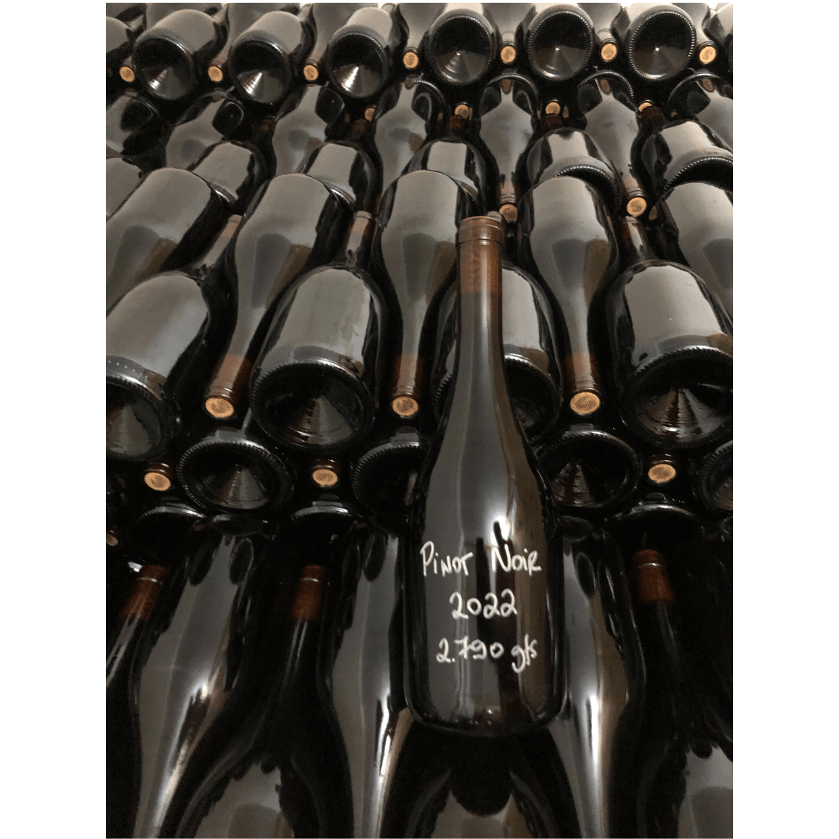 KIT 1 PINOT NOIR BRASIL - Sozo Vinhos Finos