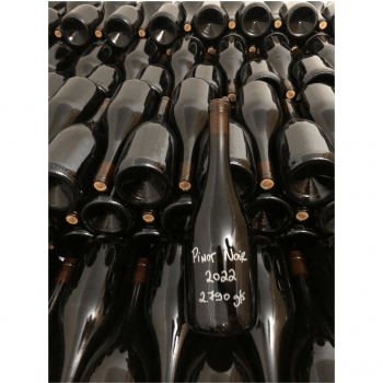KIT 1 PINOT NOIR BRASIL