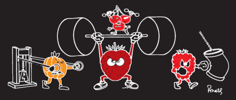 SOZO ANGRY BERRIES CLARETE 2024-25