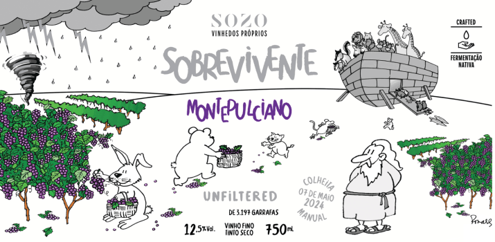 SOZO SOBREVIVENTE Montepulciano 2024