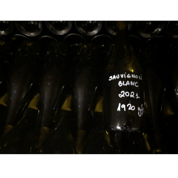 SOZO Sauvignon Blanc 2021