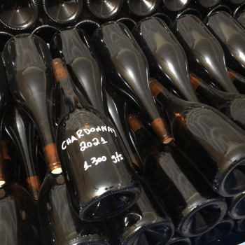 SOZO Terroir Chardonnay 2021
