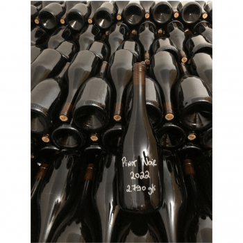 SOZO Terroir Pinot Noir 2022