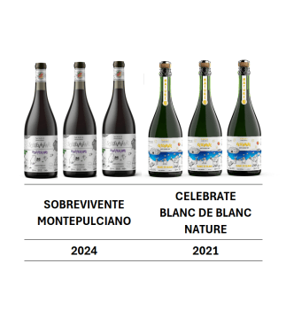 SOZO KIT SOBREVIVENTE + CELEBRATE (6 garrafas)