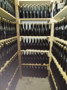 SOZO KIT SOBREVIVENTE + CELEBRATE (6 garrafas)