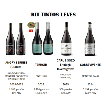 SOZO KIT TINTOS LEVES - 6 GARRAFAS
