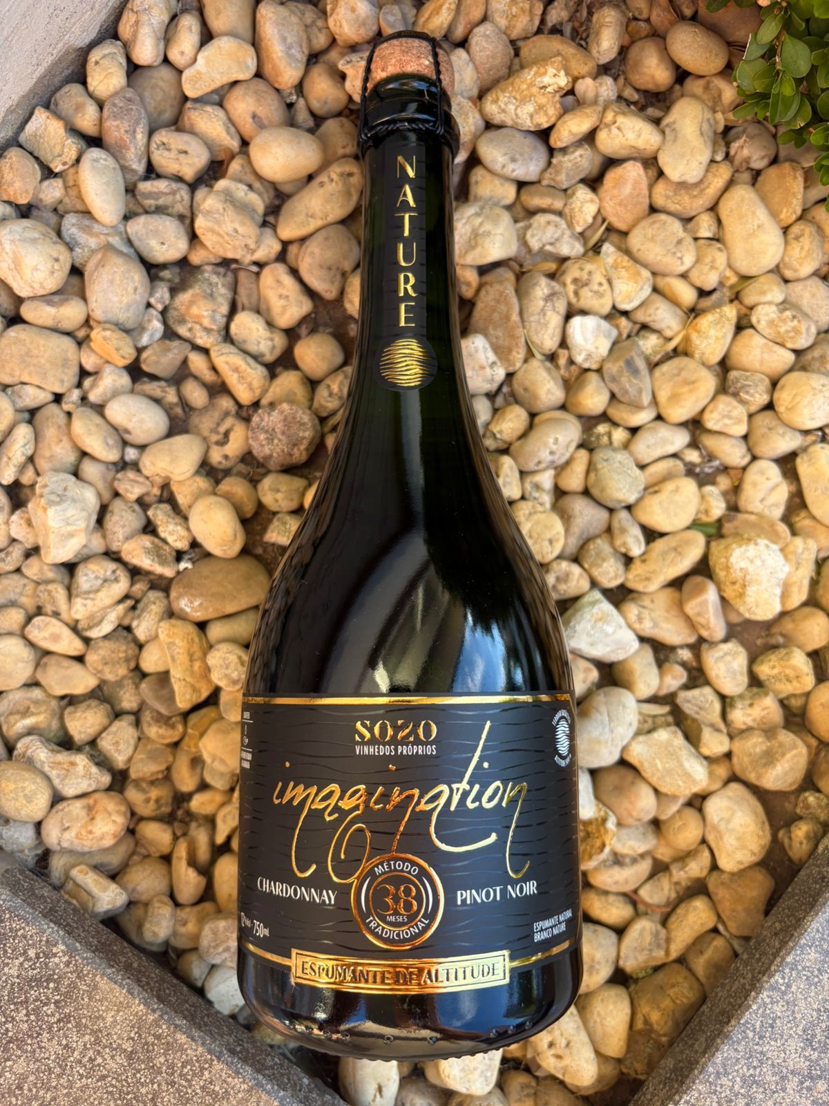 SOZO IMAGINATION NATURE 38 MESES