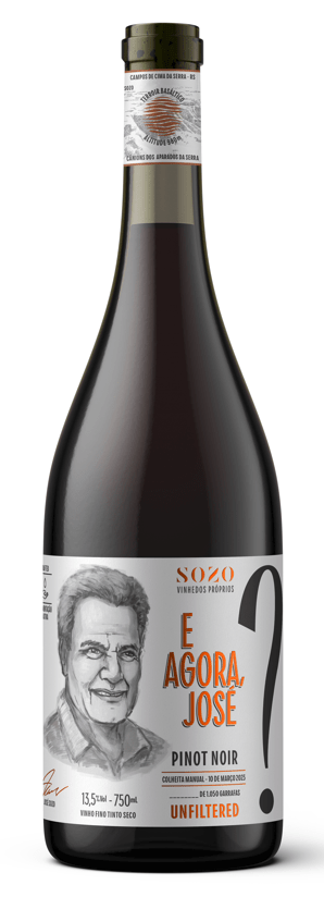 KIT 1 PINOT NOIR BRASIL - Sozo Vinhos Finos